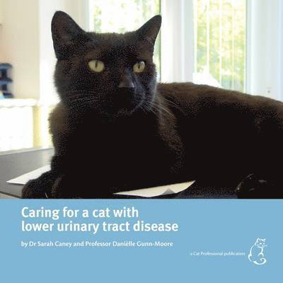 Caring for a Cat with Lower Urinary Tract Disease