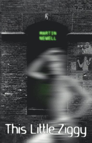Martin Newell - This Little Ziggy, Häftad