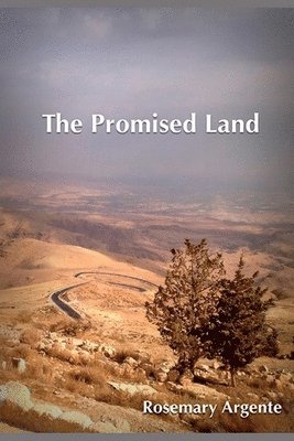 Rosemary Argente, Ann-Marie Budyn - The Promised Land: Companion to The Veil, Häftad