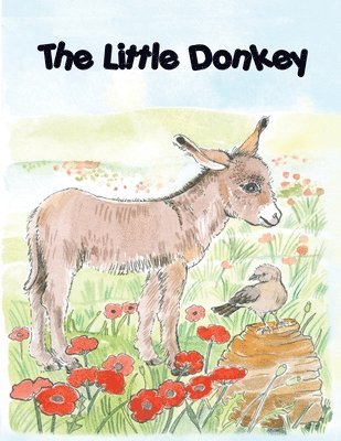 bokomslag LITTLE DONKEY, children's colouring book
