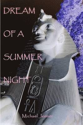 bokomslag Dream of A Summer Night