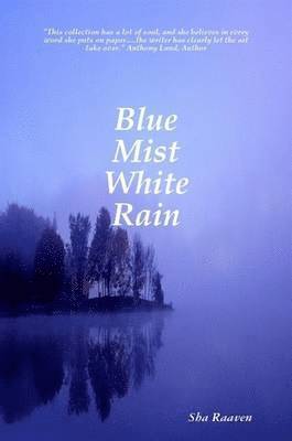 bokomslag Blue Mist White Rain