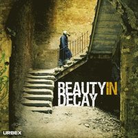 bokomslag Beauty in Decay