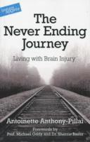 bokomslag Never Ending Journey