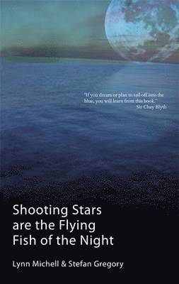Shooting Stars are the Flying Fish of the Night 1