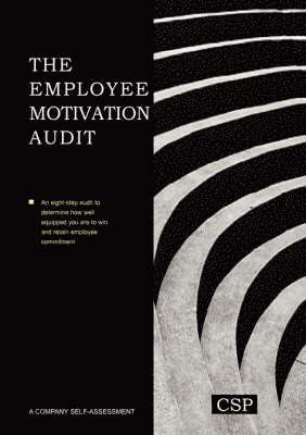 bokomslag The Employee Motivation Audit