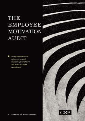 Employee Motivation Audit