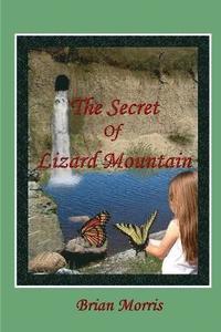 bokomslag The Secret Of Lizard Mountain