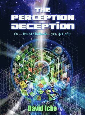 bokomslag The Perception Deception