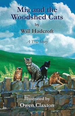 Mia and the Woodshed Cats