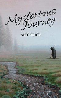 bokomslag Mysterious Journey