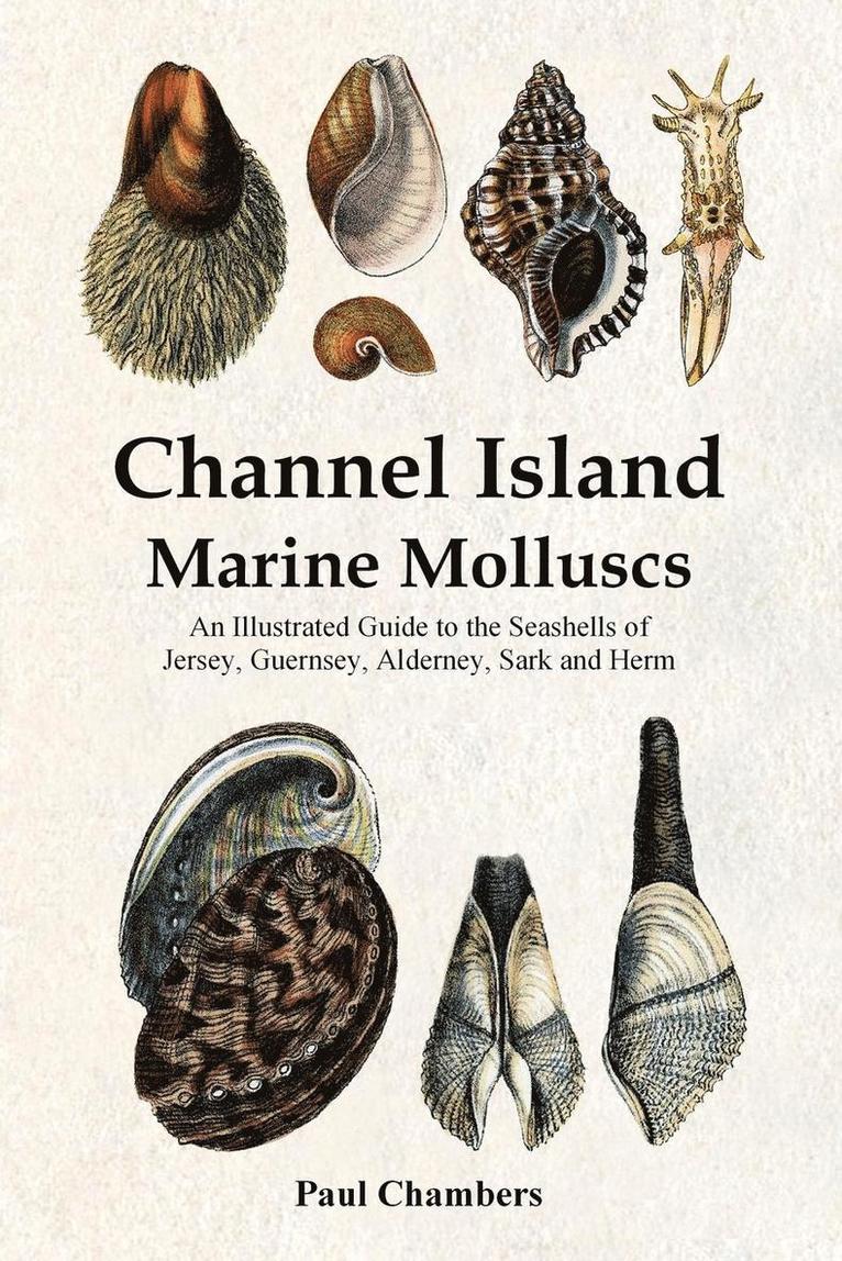 Paul Martin Chambers - Channel Island Marine Molluscs, Häftad