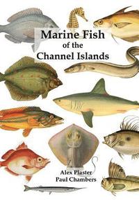 bokomslag Marine Fish of the Channel Islands