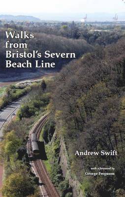 Walks from Bristol's Severn Beach Line 1