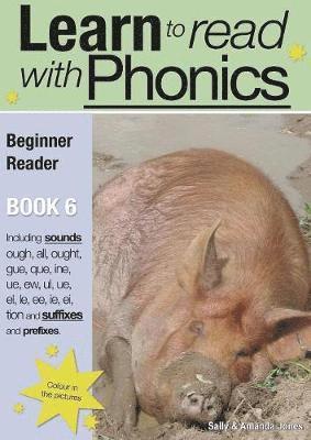 Learn to Read with Phonics: v. 8, Bk. 6 Beginner Reader 1