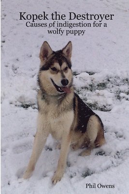 Phil Owens - Kopek the Destroyer, Häftad