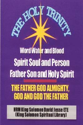 bokomslag Holy Trinity - the Father God Almighty, God and God the Father