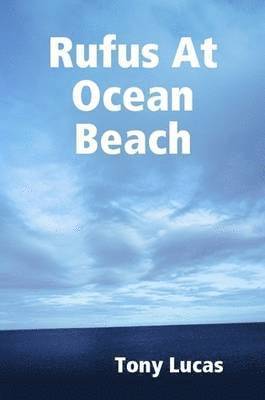 Rufus At Ocean Beach