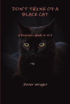 bokomslag Don't Think of a Black Cat