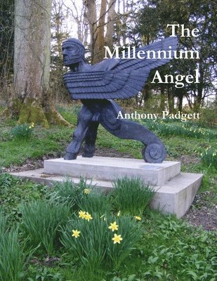 bokomslag Millennium Angel