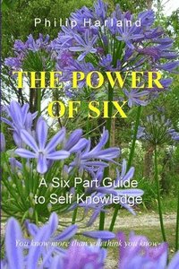 bokomslag POWER OF SIX A Six Part Guide to Self Knowledge