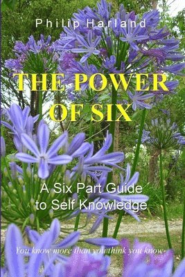 bokomslag THE POWER OF SIX A Six Part Guide to Self Knowledge