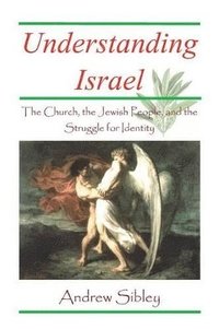 bokomslag Understanding Israel