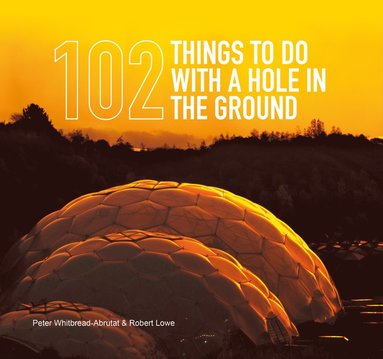 bokomslag 102 Things to Do with a Hole in the Ground