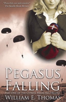 Pegasus Falling 1