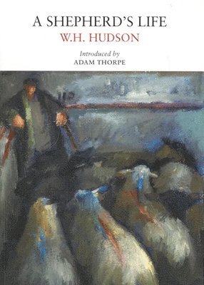 W. H. Hudson - Shepherd's Life, Häftad