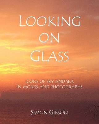 Simon John Gibson - Looking on Glass, Häftad