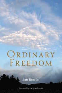 bokomslag Ordinary Freedom