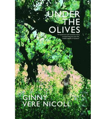 Nicoll Ginny Virginia Vere - Under the Olives, Häftad