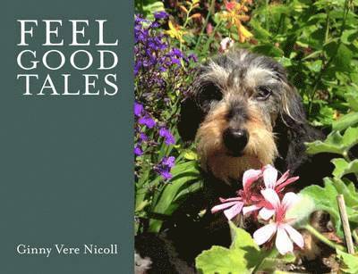 Feel Good Tales 1