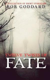 bokomslag Twelve Twists Of Fate: a collection of short stories