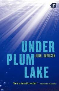 bokomslag Under Plum Lake