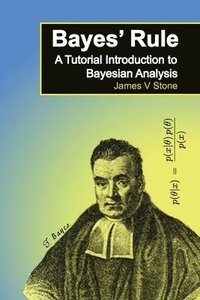 bokomslag Bayes' Rule