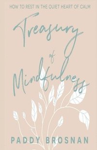 bokomslag Treasury of Mindfulness