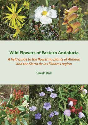 Sarah Ball - Wild Flowers of Eastern Andalucía, Häftad