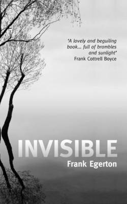 Invisible 1