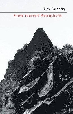 Alex Carberry - Know Yourself Melancholic, Häftad