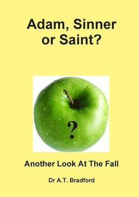 bokomslag Adam, Saint or Sinner?