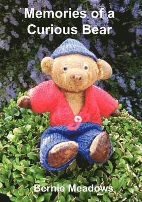 Memories of a Curious Bear 1