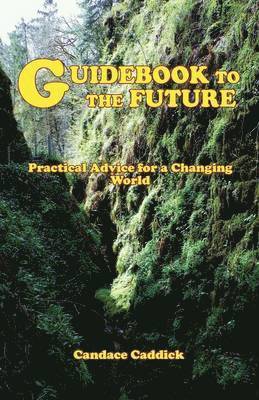 Guidebook to the Future 1