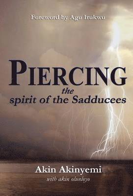 bokomslag Piercing the Spirit of the Sadducees