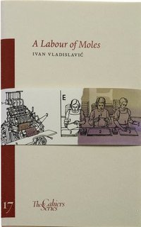 bokomslag A Labour of Moles