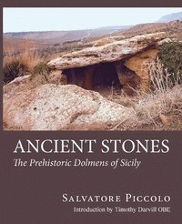 bokomslag Ancient Stones