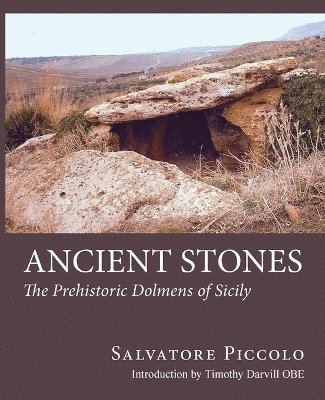 Salvatore Piccolo, Timothy Darvill - Ancient Stones, Häftad