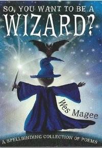 bokomslag So, You Want to be a Wizard?