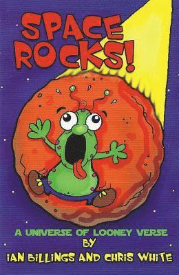 bokomslag Space Rocks